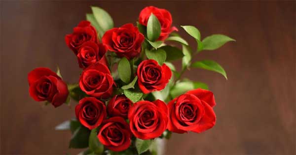 Trời ban vàng ngọc: 2 tháng tới, 3 con giáp điềm tĩnh vượt qua thử thách, công danh thăng tiến-3