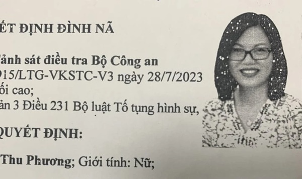 Trưởng bộ phận thư ký tài chính Công ty AIC về nước đầu thú-2