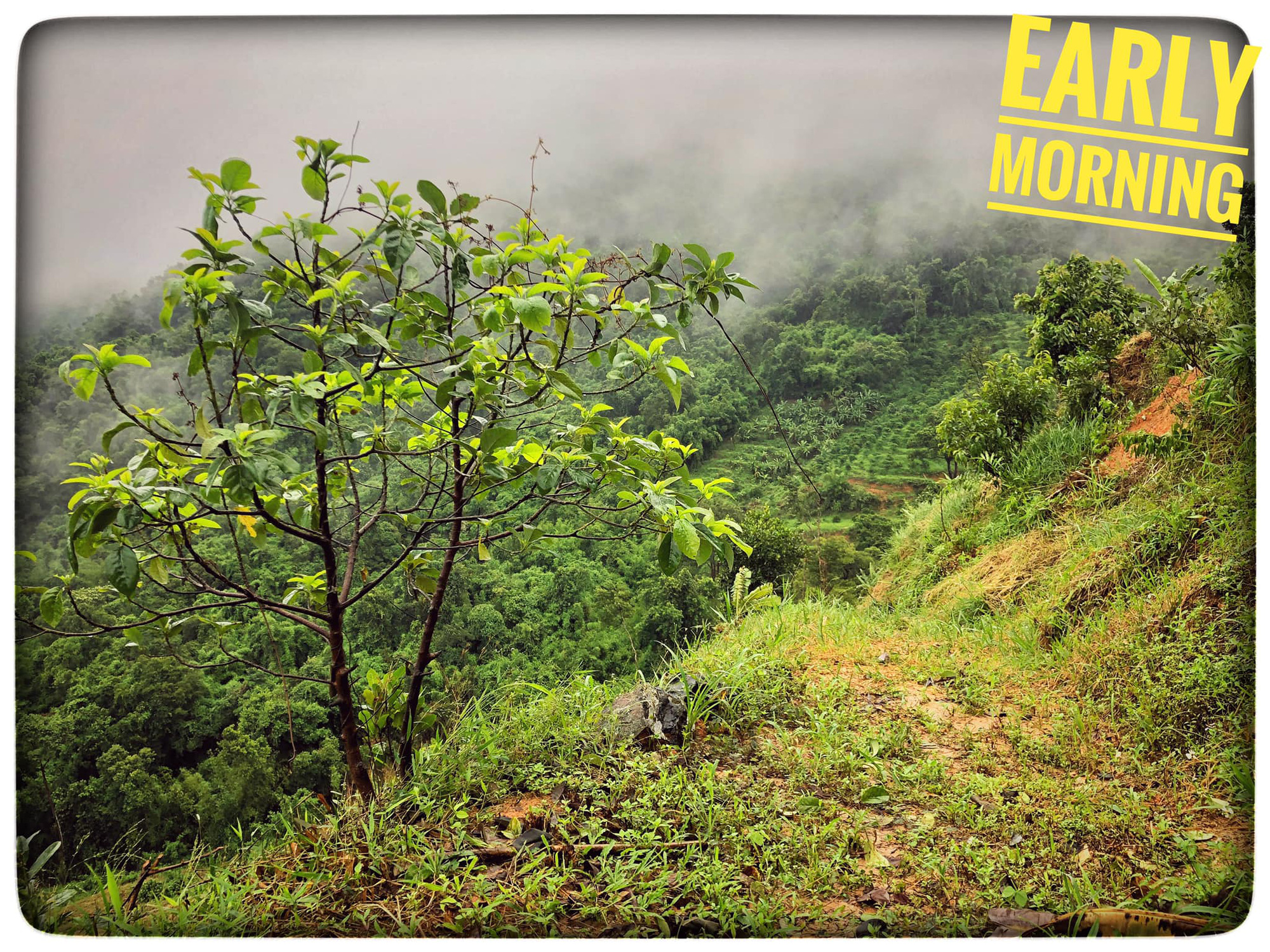 Đón con thứ 2 sau 5 năm về chung nhà, tình cũ của Hari Won hiện sở hữu không gian sống thế nào?-10