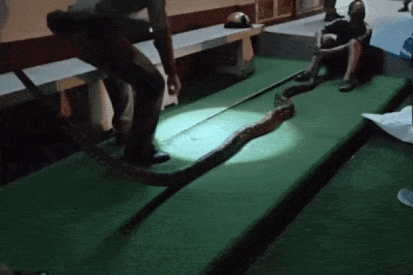 Mảng tường lớn rơi khỏi tòa nhà cao tầng, 2 mẹ con thoát nạn trong gang tấc-1