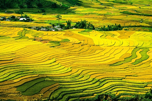 Ở hiền gặp lành: 5 con giáp làm việc tận tâm, tử tế, tháng 7 Âm lịch gặp điều tốt, thành công vượt bậc-2