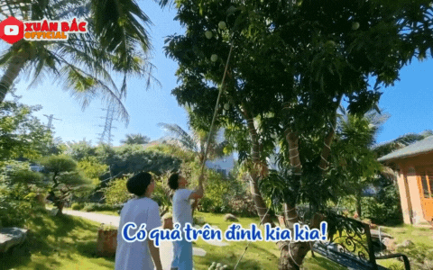 Bên trong biệt phủ tiền tỷ của Xuân Bắc: Không gian sống an yên, chiếm spotlight là sân vườn quanh năm hoa trái sai trĩu mọc-6