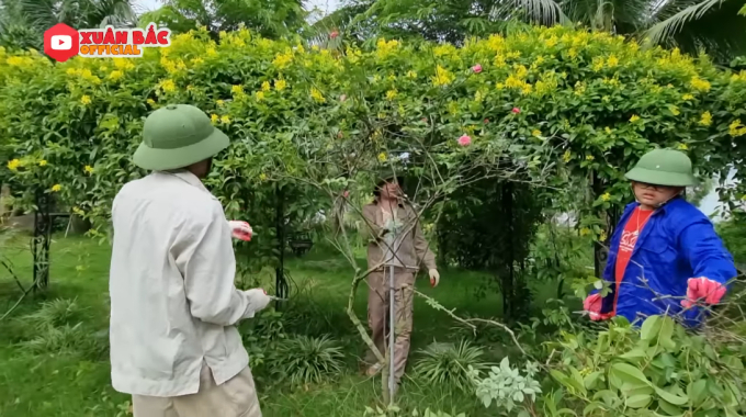 Bên trong biệt phủ tiền tỷ của Xuân Bắc: Không gian sống an yên, chiếm spotlight là sân vườn quanh năm hoa trái sai trĩu mọc-11