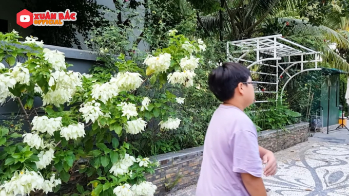 Bên trong biệt phủ tiền tỷ của Xuân Bắc: Không gian sống an yên, chiếm spotlight là sân vườn quanh năm hoa trái sai trĩu mọc-13