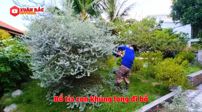 Bên trong biệt phủ tiền tỷ của Xuân Bắc: Không gian sống an yên, chiếm spotlight là sân vườn quanh năm hoa trái sai trĩu mọc-14