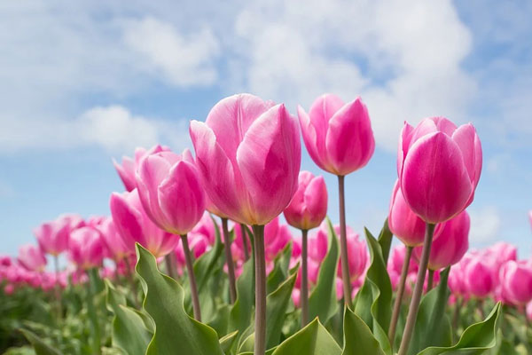 Trời cho lộc lớn: Người sinh vào 5 ngày Âm lịch này có tài kinh doanh, buôn bán ắt sinh lời-2