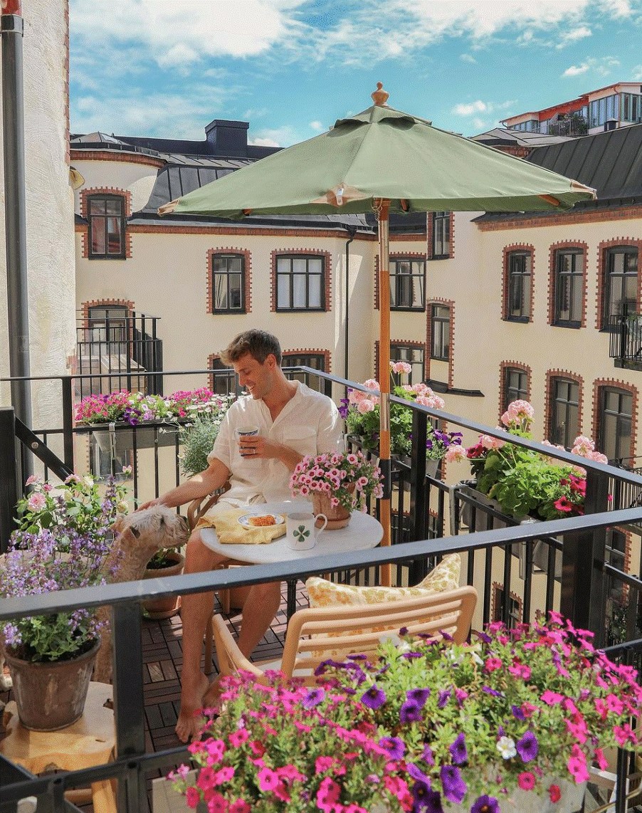 Mua mảnh đất bỏ hoang, chàng trai xây căn nhà 27m2 với khu vườn quanh năm đều đẹp-1