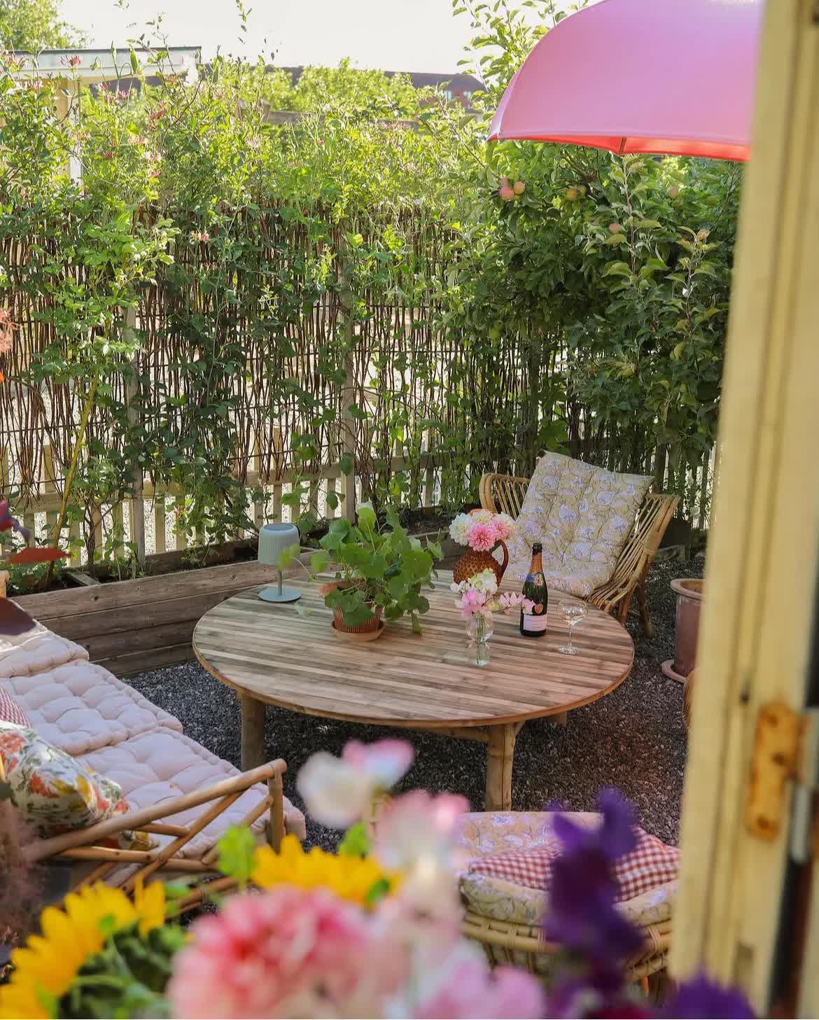 Mua mảnh đất bỏ hoang, chàng trai xây căn nhà 27m2 với khu vườn quanh năm đều đẹp-4