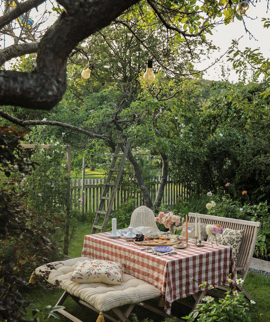 Mua mảnh đất bỏ hoang, chàng trai xây căn nhà 27m2 với khu vườn quanh năm đều đẹp-7