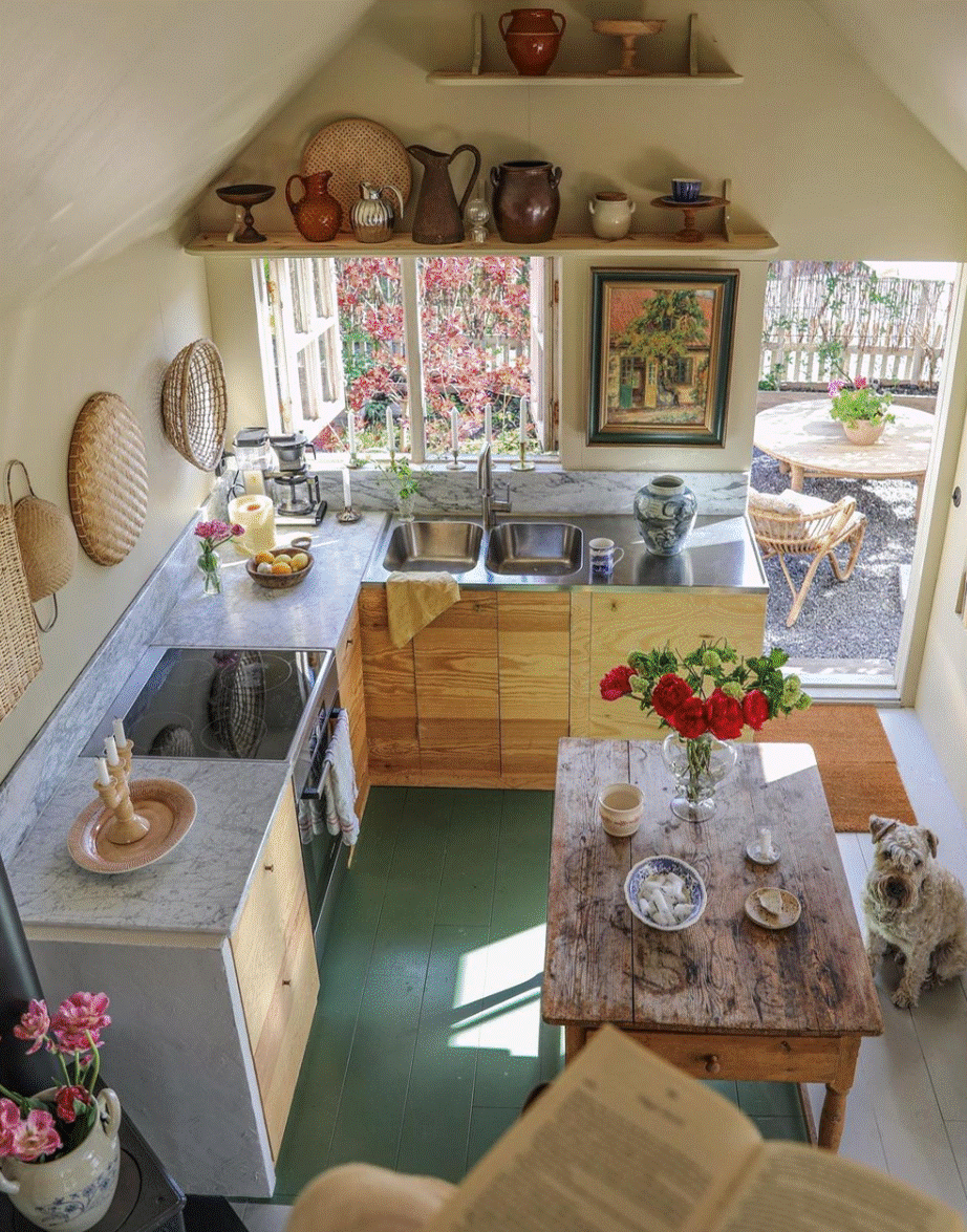 Mua mảnh đất bỏ hoang, chàng trai xây căn nhà 27m2 với khu vườn quanh năm đều đẹp-10