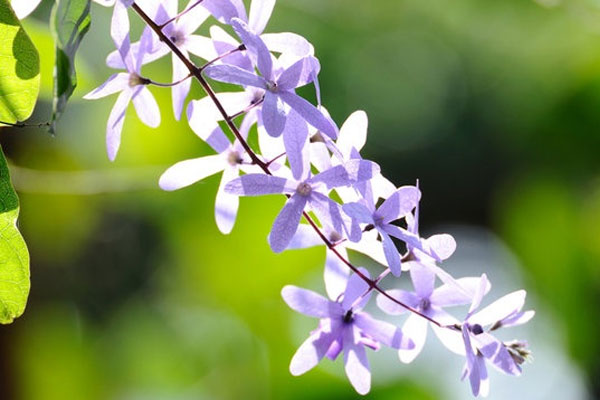 Người tốt có phúc báo: Ai sinh ngày Âm lịch này đón nhiều tin vui, sự nghiệp khởi sắc từ nay-4