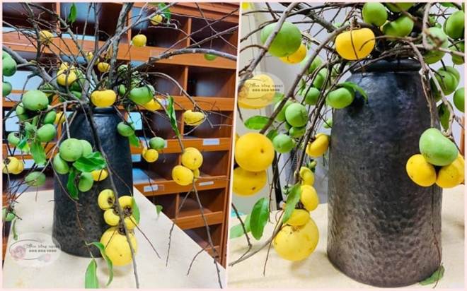 Chị em sốt xình xịch, thú chơi cành thị cắm bình lên ngôi-1