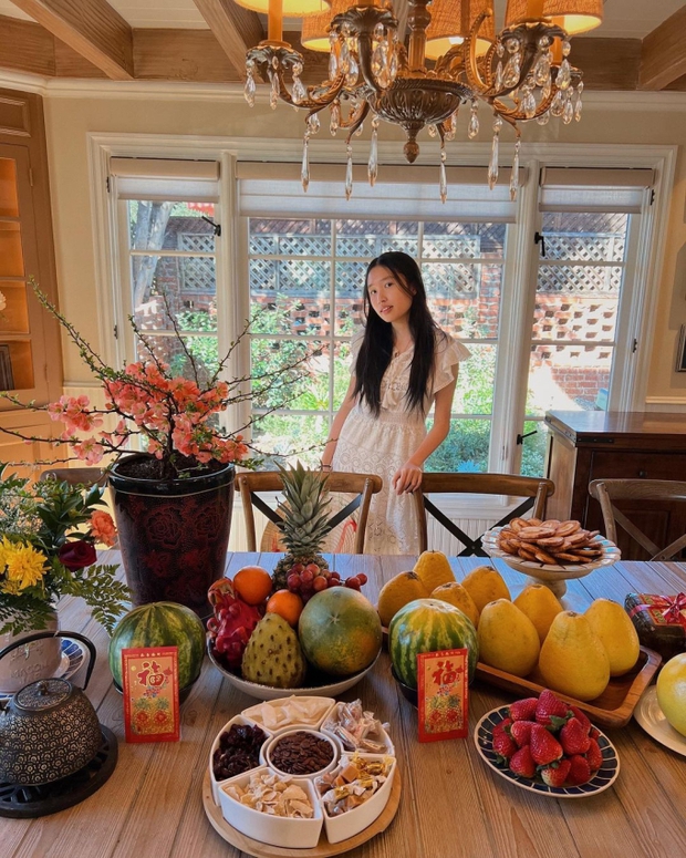 Bên trong nhà riêng ở Mỹ của tiểu thư YouTuber Jenny Huỳnh: Thiết kế phong cách Bắc Âu, có view ngắm hoàng hôn đẹp nức nở-8