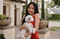 Bên trong nhà riêng ở Mỹ của 'tiểu thư YouTuber' Jenny Huỳnh: Thiết kế phong cách Bắc Âu, có view ngắm hoàng hôn đẹp nức nở