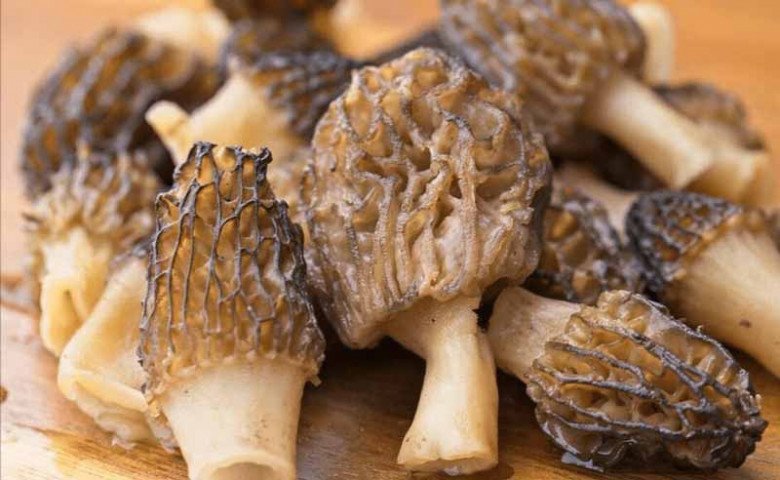 Thứ này kali gấp 3 lần chuối giúp giải nhiệt, nhuận tràng, mùa hè nên ăn nhiều, bỏ qua thì quá tiếc-7