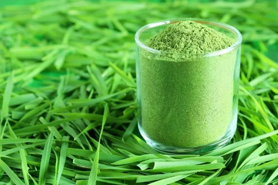 1 loại bột được mệnh danh là “thuốc trẻ hóa”, dùng thường xuyên còn hỗ trợ giảm cân và phòng bệnh ung thư