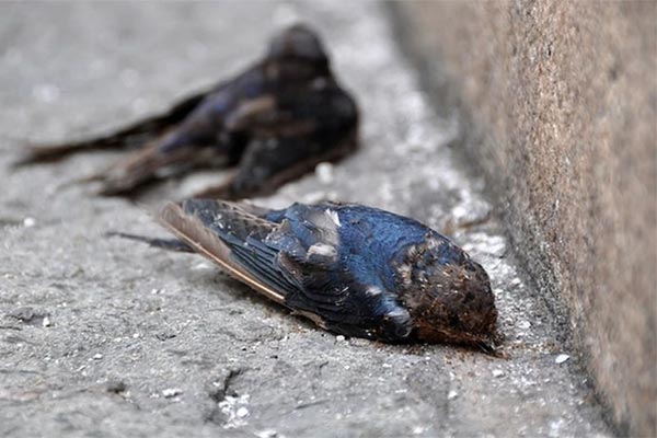 4 sai lầm khi uống nước đang âm thầm làm hại trái tim nhưng nhiều người mắc-4