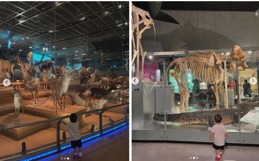 Con trai út gần 2 tuổi của Tăng Thanh Hà được mẹ cho trải nghiệm điều này, ai cũng khen ngọc nữ khéo dạy con-1