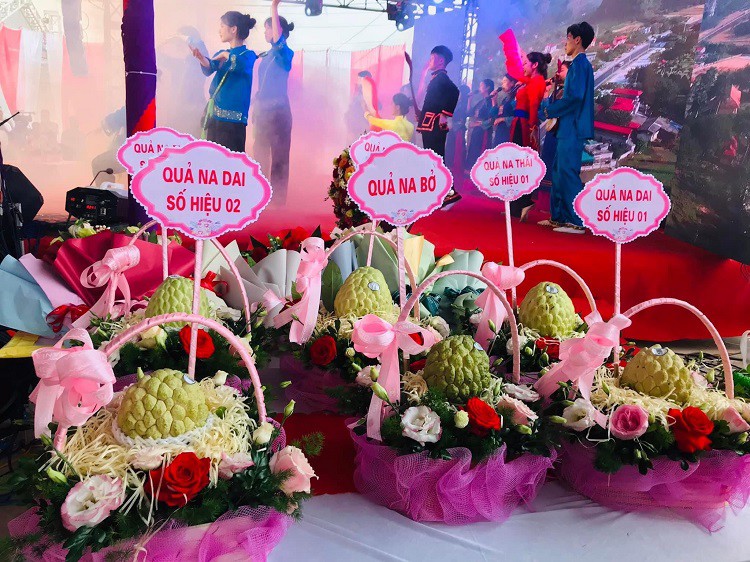 Loại cây xưa bị chặt bỏ giờ lại đắt như tôm tươi”, mang đấu giá 100 triệu đồng/quả-5