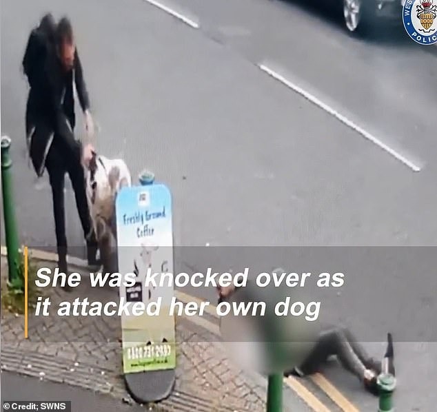 Cụ bà gặp tai nạn bất ngờ khi dắt chó cưng đi dạo khiến cảnh sát lập tức vào cuộc điều tra-2