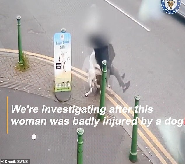 Cụ bà gặp tai nạn bất ngờ khi dắt chó cưng đi dạo khiến cảnh sát lập tức vào cuộc điều tra-3