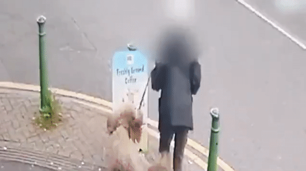 Cụ bà gặp tai nạn bất ngờ khi dắt chó cưng đi dạo khiến cảnh sát lập tức vào cuộc điều tra-1