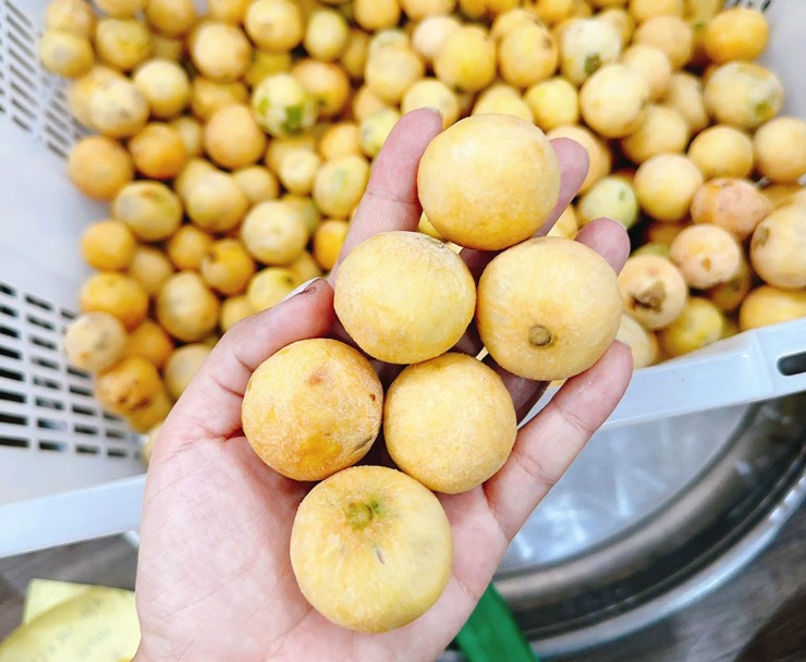 Sấu chín giá cao, chị em đua nhau mua, dân buôn không đủ hàng bán-1