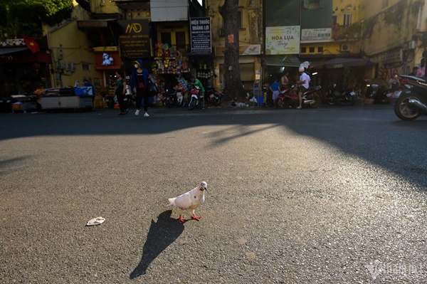 Phố phường Hà Nội thanh bình ngày nghỉ lễ Quốc khánh-10