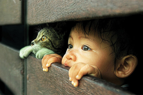 Tại sao cho con tiếp xúc với nghệ thuật trong giai đoạn mẫu giáo lại rất quan trọng?-4