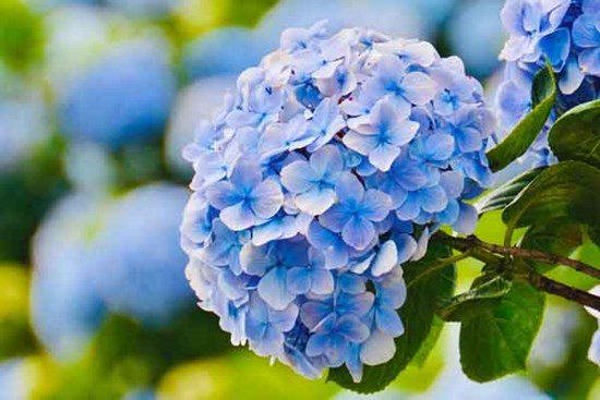 Trời xanh ưu ái: Người sinh vào 3 tháng Âm lịch này, tuổi trẻ dấn thân, trung niên thắng lớn