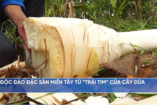 Độc đáo đặc sản miền Tây từ “trái tim” của cây dừa