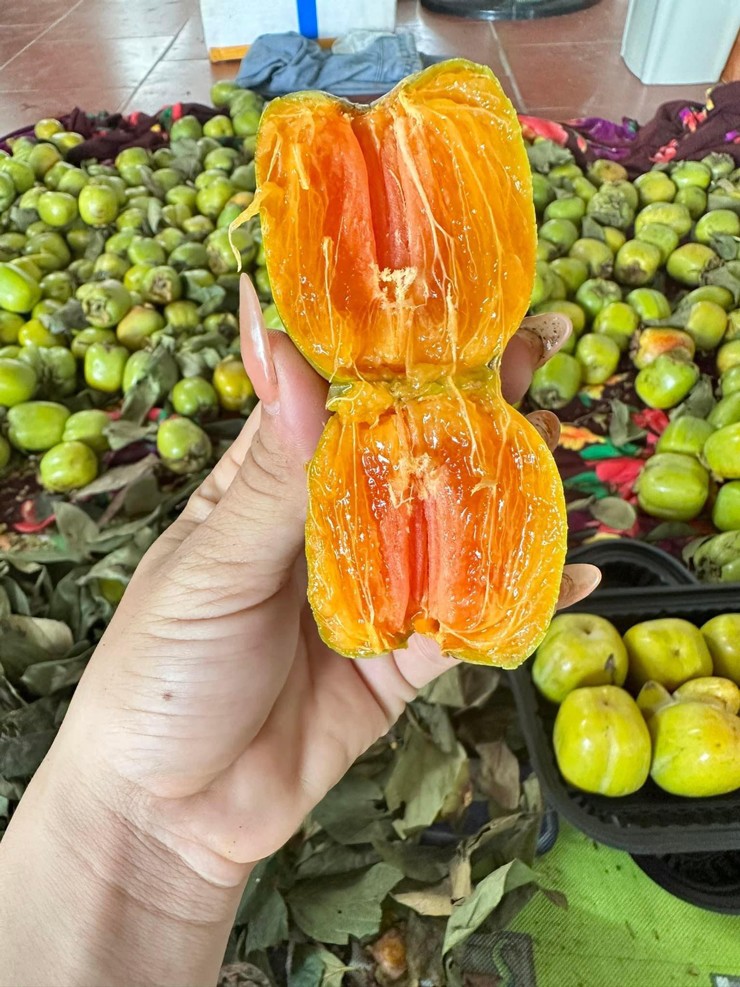 Loại quả này trước vài nghìn đồng/kg, nay bán giá hơn trăm nghìn một cân vẫn đắt khách-1