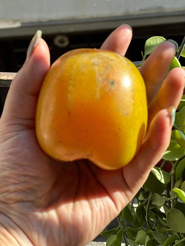 Loại quả này trước vài nghìn đồng/kg, nay bán giá hơn trăm nghìn một cân vẫn đắt khách-2