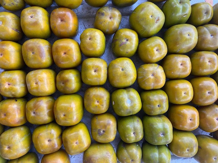 Loại quả này trước vài nghìn đồng/kg, nay bán giá hơn trăm nghìn một cân vẫn đắt khách-3