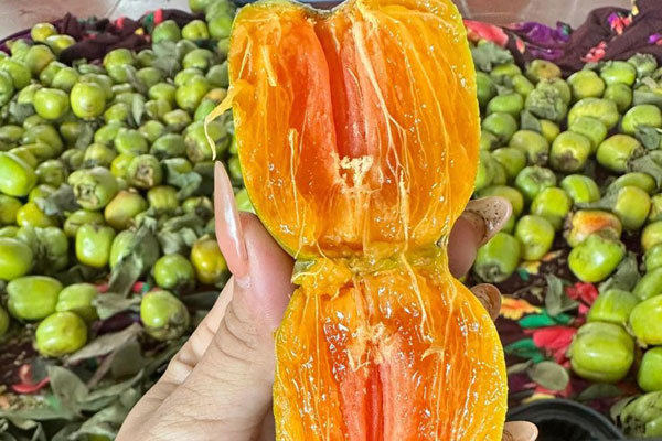 Vợ chồng trẻ lãi hàng trăm triệu đồng mỗi năm từ trồng na-5