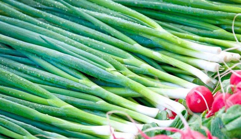 Hành lá kết hợp với thứ này để cả năm vẫn tươi rói, lúc cần đến không phải cuống cuồng chạy đi mua-1