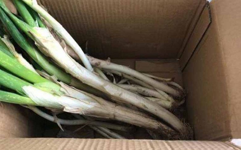 Hành lá kết hợp với thứ này để cả năm vẫn tươi rói, lúc cần đến không phải cuống cuồng chạy đi mua-2