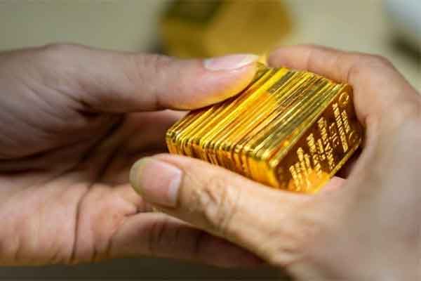 Thú cưng trong nhà đồng loạt bị bệnh, tôi sững sờ khi phát hiện hành vi lén lút của chị chồng-2