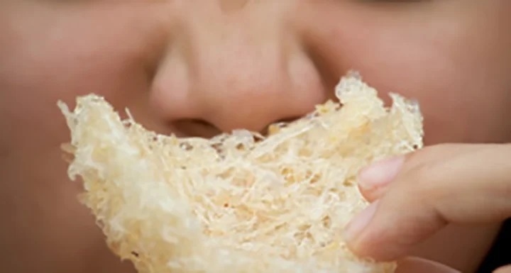 Cách phân biệt tổ yến thật và tổ yến giả-2