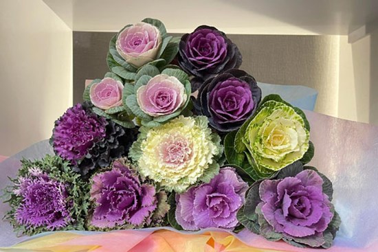 Kỳ lạ loại hoa “khổng lồ” giá gần trăm nghìn/bông, vừa cắm chơi vừa để… ăn