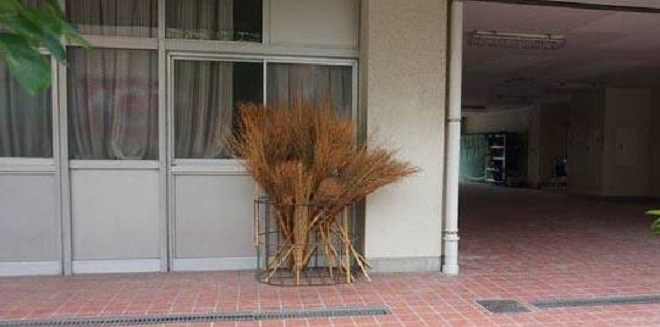 Loại vật dụng xua đuổi tà khí” này nếu đặt đúng sẽ vượng tài lộc, nhưng nếu đặt sai cẩn thận hao tài-2