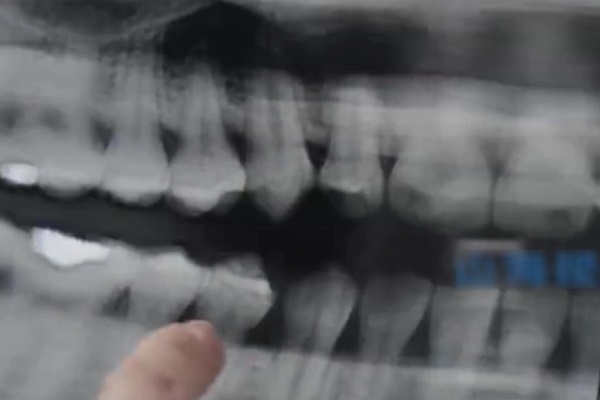 Con trai Đinh Ngọc Diệp đọc vanh vách tên 63 tỉnh thành, ai cũng khen mẹ dạy con quá đỉnh-9