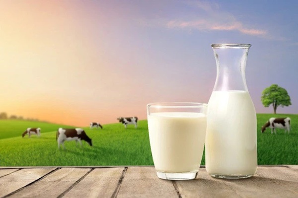 Những thực phẩm không dùng chung với sữa kẻo tiêu chảy, sỏi thận-1