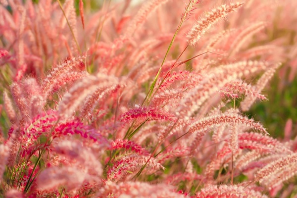 Quý nhân hậu thuẫn: Ai sinh tháng Âm lịch này sự nghiệp suôn sẻ, phất lên rất nhanh-4