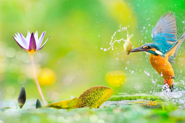 Quý nhân hậu thuẫn: Ai sinh tháng Âm lịch này sự nghiệp suôn sẻ, phất lên rất nhanh-1