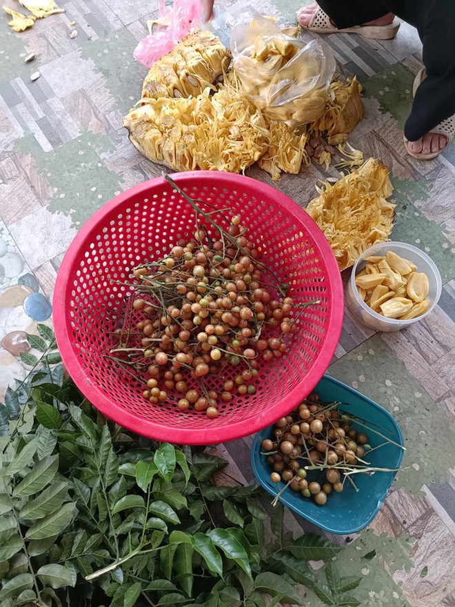 Con dâu kể chuyện mẹ chồng cho bánh không có nhân, điểm đặc biệt khiến bao người cảm động-6