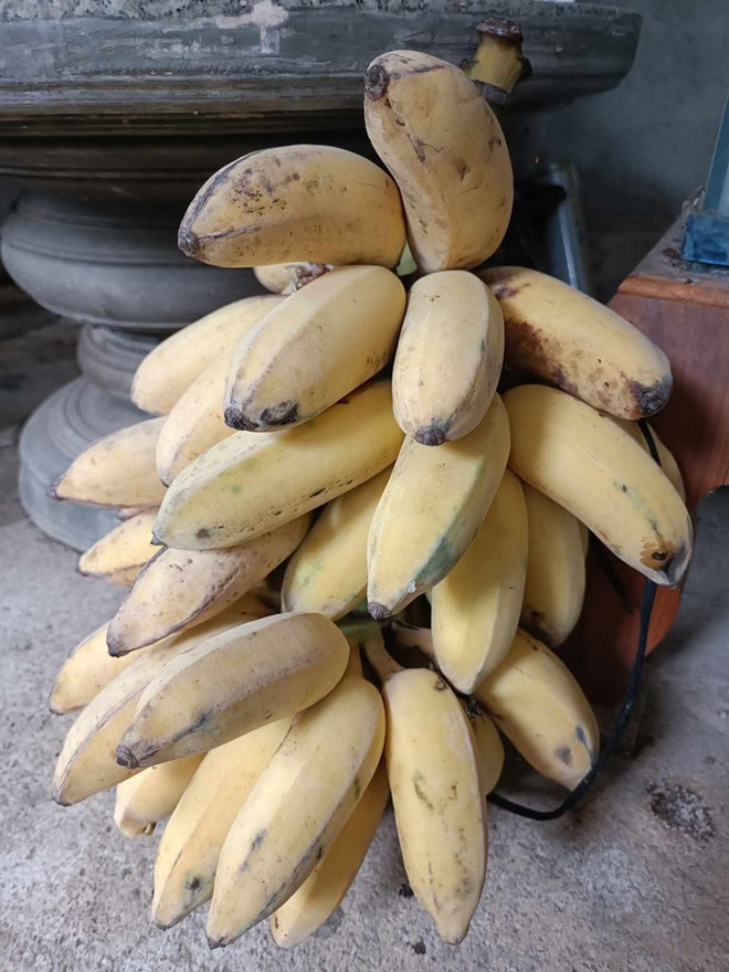 Con dâu kể chuyện mẹ chồng cho bánh không có nhân, điểm đặc biệt khiến bao người cảm động-7