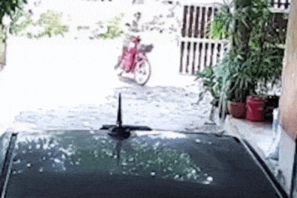 Rắn hổ mang điên cuồng lao ra tấn công, rượt đuổi người đàn ông đi xe máy