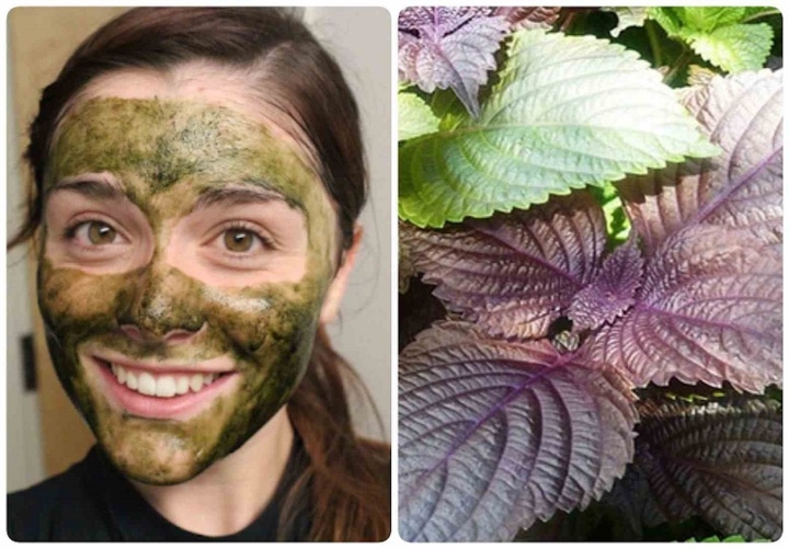 5 loại mặt nạ làm từ rau trong vườn giúp làn da đẹp rạng rỡ-5