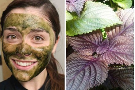 5 loại mặt nạ làm từ rau trong vườn giúp làn da đẹp rạng rỡ